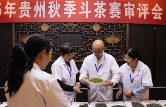 贵州秋季斗茶赛“金奖茶”之争开启：从专家审评到百姓舌尖