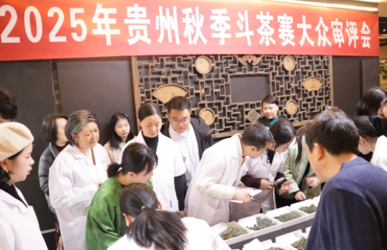 2025贵州秋茶斗茶赛大众评审掀起“舌尖风暴”