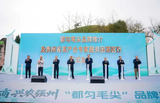 院士挂帅，智赋黔茶香！贵州省茶产业专家服务团茶区行正式启动